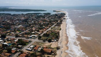 Según Pedro de Araujo, profesor