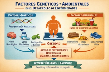 Diagrama que muestra factores genéticos y ambientales que conducen a la obesidad y al riesgo de enfermedades neurológicas, diabetes y cálculos biliares.