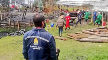 El derrumbe se produjo el