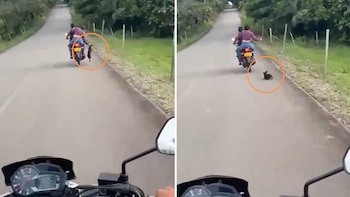En Caquetá, en una carretera, pareja tiró a un perrito que corrió detrás de ellos: en el video se les ve riéndose