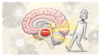 Cerebro humano en corte, amígdala roja con texto "AMÍGDALA", emite rayos hacia figura humana sobresaltada. Fondo con conexiones neuronales.