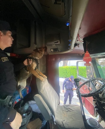 Los agentes caninos K9 detectan paquete de marihuana e impiden paso de droga valorada en casi dos mil dólares. (Foto cortesía PNC)