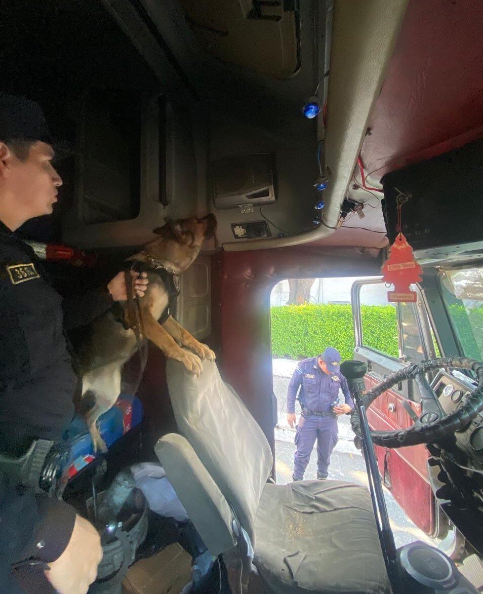 Los agentes caninos K9 detectan paquete de marihuana e impiden paso de droga valorada en casi dos mil dólares. (Foto cortesía PNC)