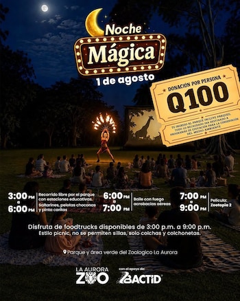 Personas sentadas en césped, artista con abanicos de fuego, pantalla con imagen de jirafa, cartel 'Noche Mágica', ticket 'Donación Q100', luna