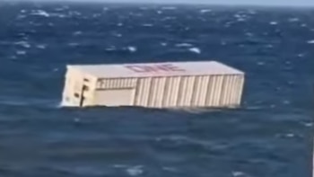 Sorpresa por la aparición de