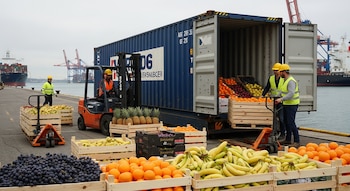 Trabajadores con chalecos y cascos descargan frutas frescas (uvas, naranjas, plátanos, piñas) de un contenedor azul en un puerto con montacargas y buques.