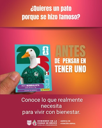 Una mano sostiene una tarjeta con un pato usando una camiseta de fútbol de México. La tarjeta tiene textos y logos. El fondo es naranja con texto blanco