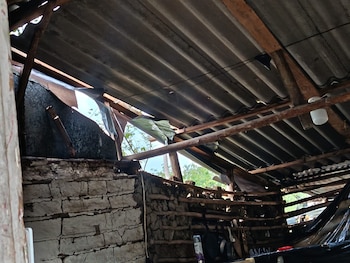 Un vendaval con tormenta eléctrica golpeó a Luruaco, Atlántico, y dejó entre 60 y 100 viviendas afectadas de manera preliminar - crédito @capitanclima24/X
