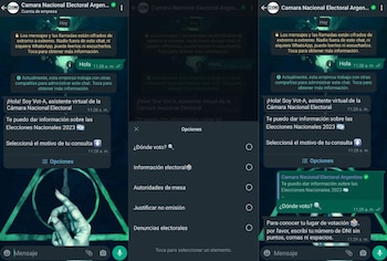 Crean chatbot de WhatsApp para