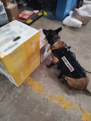 Incautaron cristal oculto en paquetes