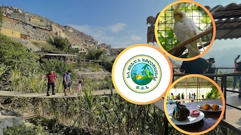 La selva escondida ubicada en