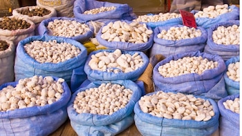 Origen del Tocosh, la “penicilina