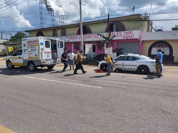 Los integrantes de las corporaciones