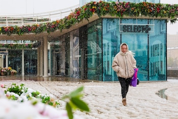 Imagen GOUVTOJL2BCSTERBBM5OGEONW4