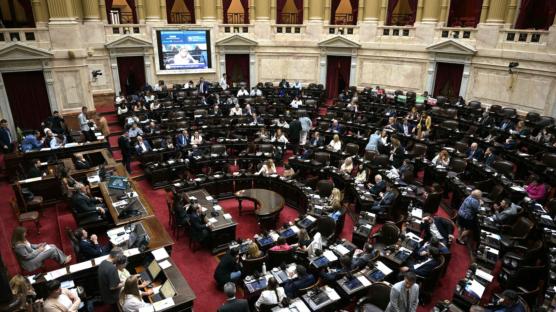La Cámara de Diputados aprobó el proyecto de Ley de Inviolabilidad de la Propiedad Privada y lo devolvió al Senado por cambios vinculados a la Ley de Tierras. (Photo by JUAN MABROMATA / AFP)