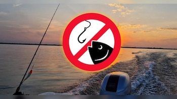 Golfo de Nicoya entra en pausa: Inicia veda de tres meses para garantizar el futuro de la pesca en Costa Rica
