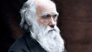 Día de Charles Darwin: origen,