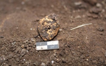 El descubrimiento de las siete