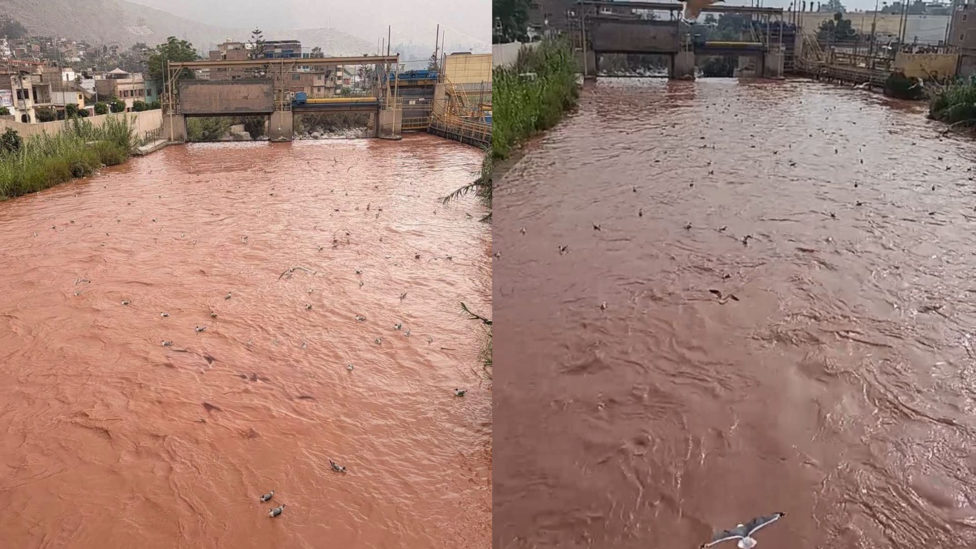 La escena se observa desde el puente Estela Montti, mientras los vecinos solicitan medidas para proteger las riberas erosionadas y las viviendas cercanas. Composición: Infobae