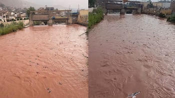 Río Rímac sorprendió con aguas marrones y numerosas gaviotas en Chosica, mientras vecinos reclamaban defensas para proteger las riberas