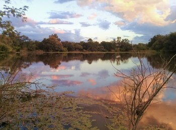 Los humedales garantizan la provisión