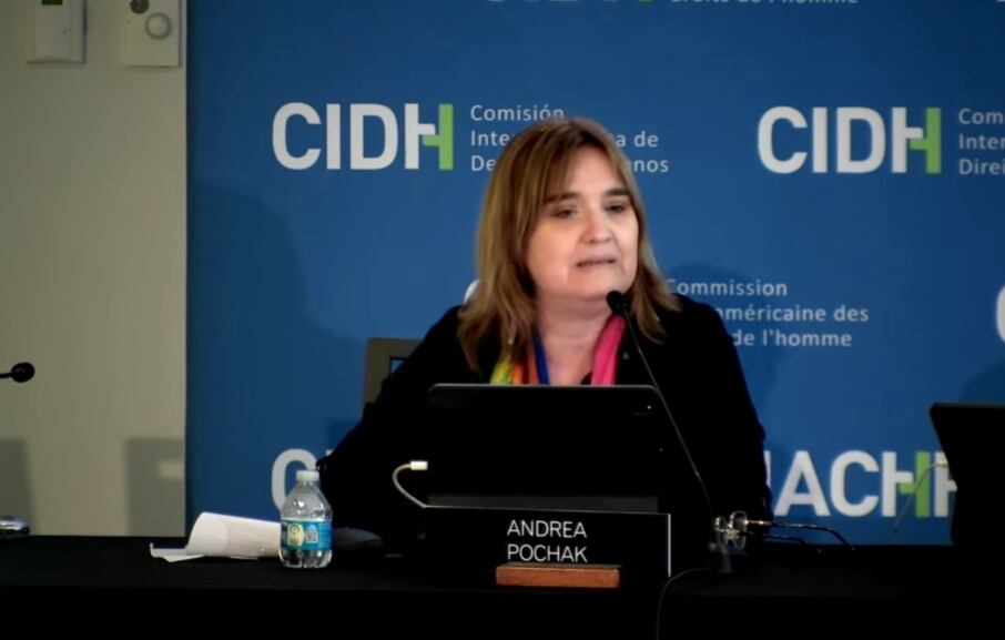 Andrea Pochack, comisionada de la CIDH