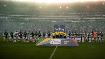 Identificaron al hincha del Cali