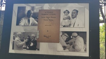 Se destaca la contribución de