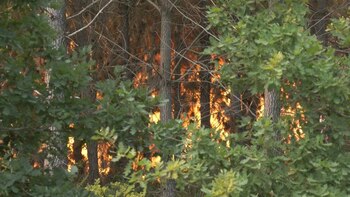 Aunque las temperaturas comenzaron a