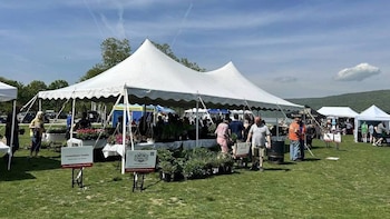 Feria al aire libre en un campo verde bajo carpas blancas, con personas comprando plantas. Un lago y colinas verdes son visibles en el fondo bajo cielo azul