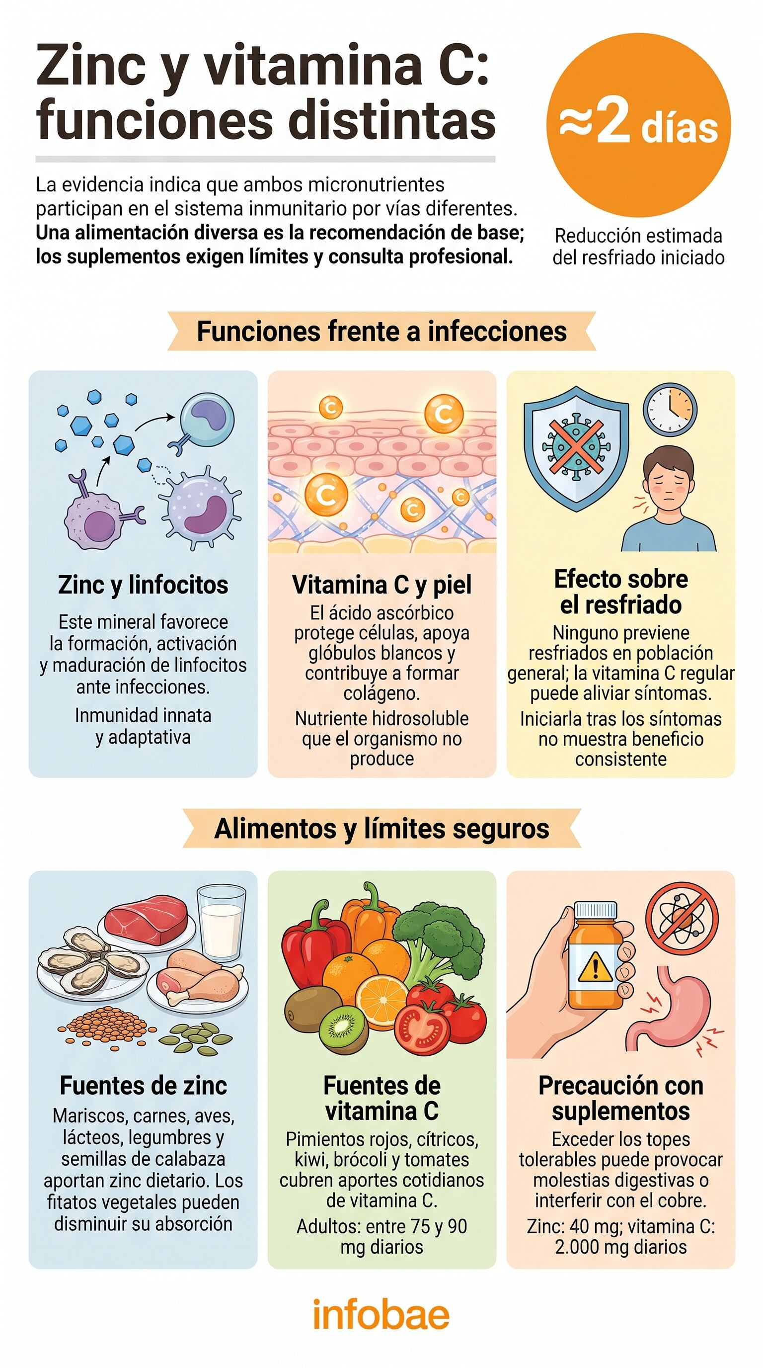 Una alimentación variada ayuda a cubrir las necesidades de ambos micronutrientes. (Imagen Ilustrativa Infobae)