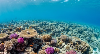 El análisis del microbioma marino