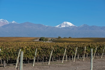 Cadus Single Vineyard Viña Vida Malbec - Cadus