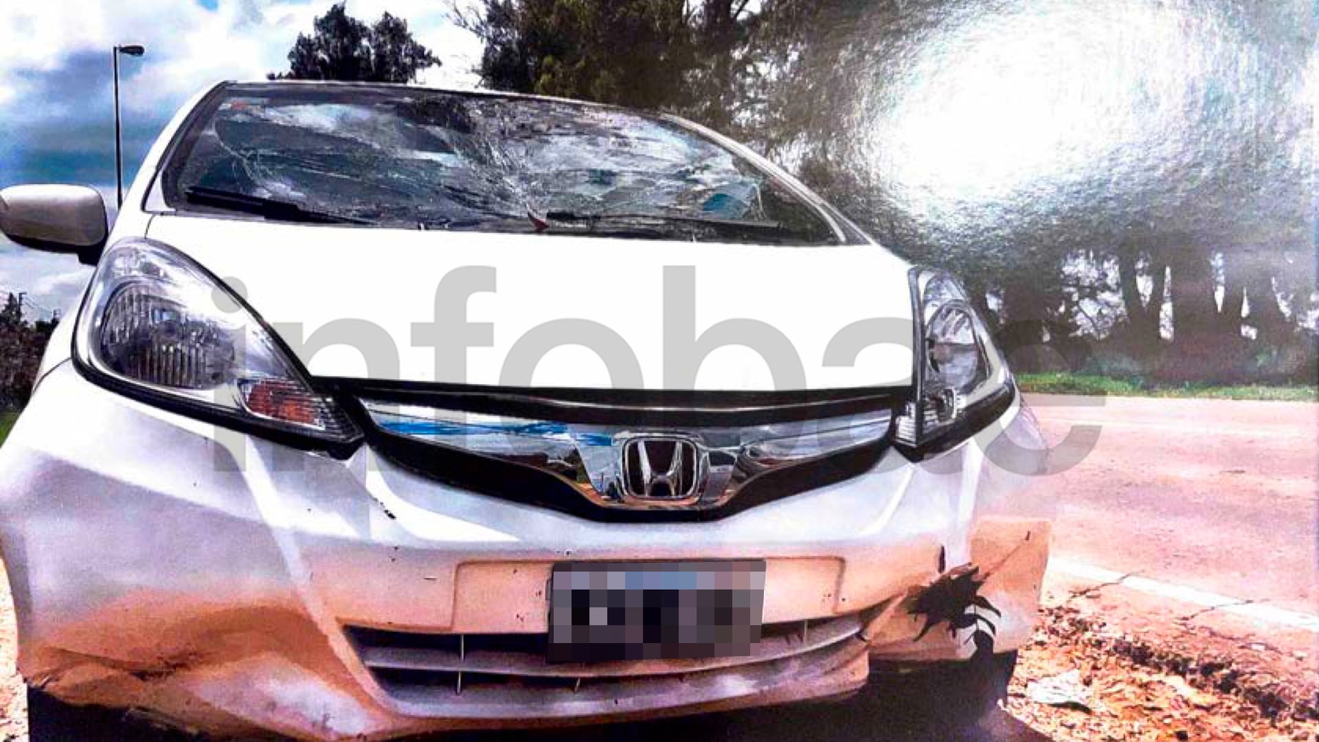 La Justicia en lo Contencioso Administrativo de San Isidro rechazó la demanda contra la municipalidad por la caída de un árbol sobre un auto en Pilar. (Poder Judicial)