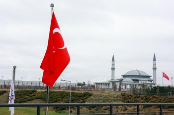 Imagen GPZZGMOE65B45LOQJ3UL5HLEJI