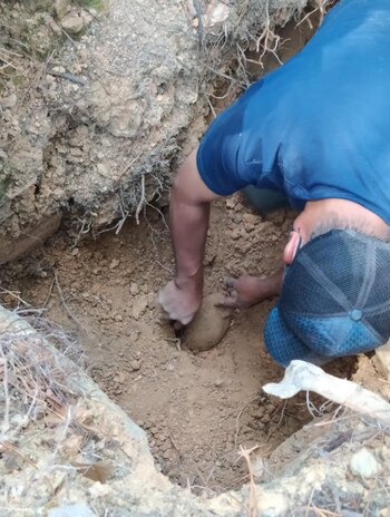 Foto: (Facebook/Ayuntamiento de Ixtlán de