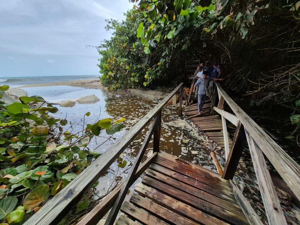 Vista panorámica del Parque Nacional Natural Tayrona, donde playas y selva se encuentran bajo estrictas medidas de cierre por razones de seguridad - crédito Parques Nacionales y Naturales de Colombia