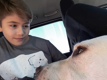Su vida dio un vuelco cuando conoció a Tango, un perro de servicio adiestrado por personas privadas de la libertad