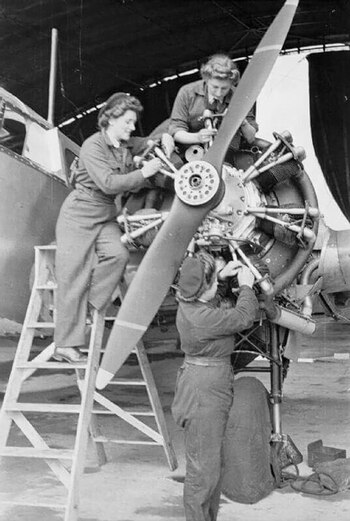 Un grupo de mujeres de