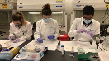 Se enviarán a la ISS