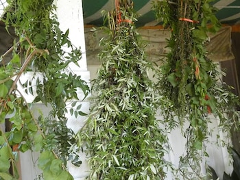 No todas las personas pueden