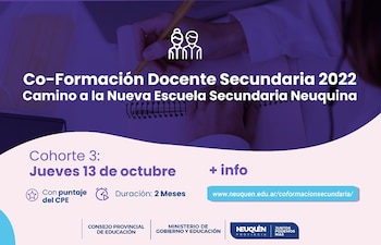 Neuquén: diseño curricular Nueva Escuela Secundaria