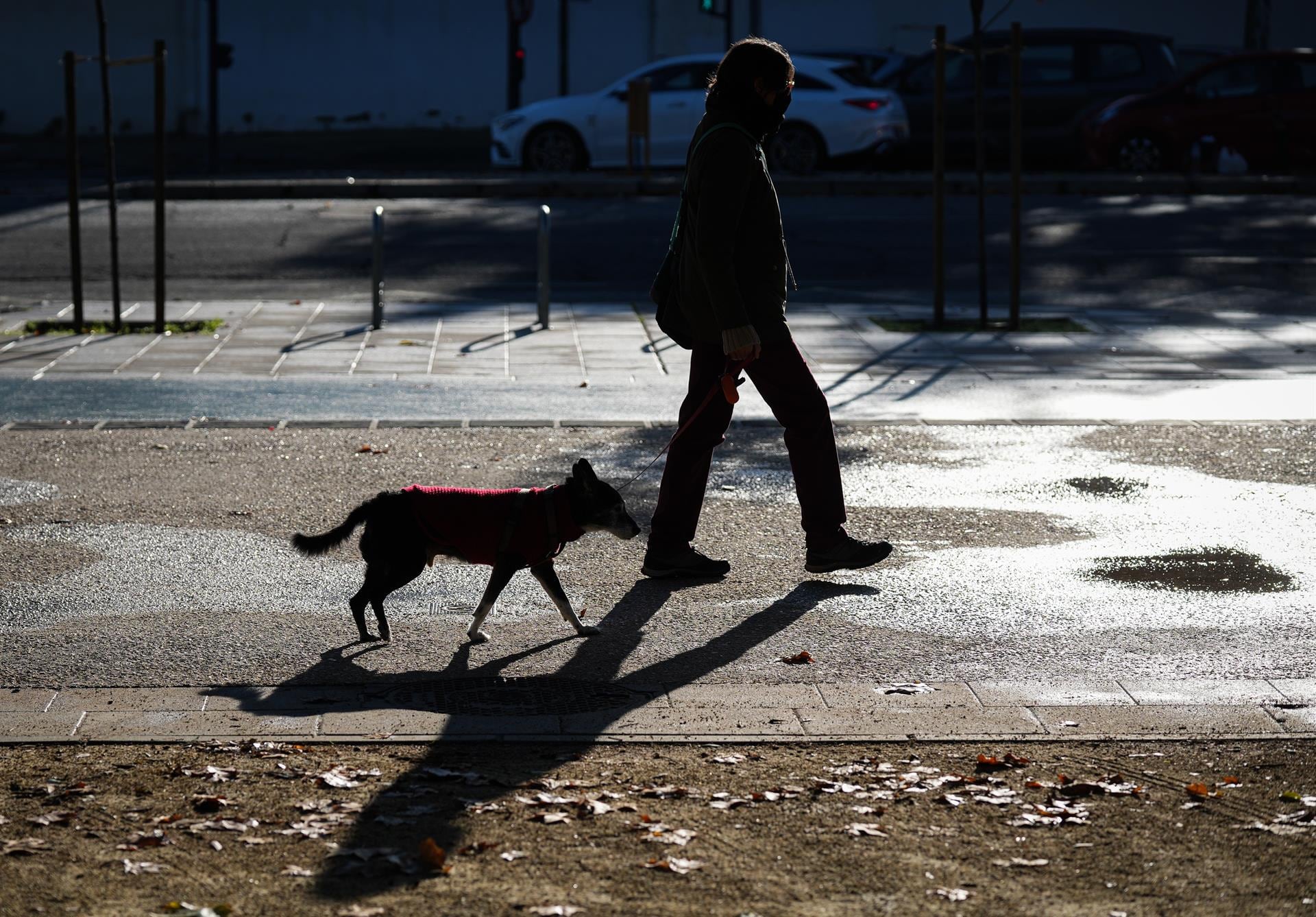 Ola de frío extremo azota el norte de España: Temperaturas bajo cero y riesgo de nevadas