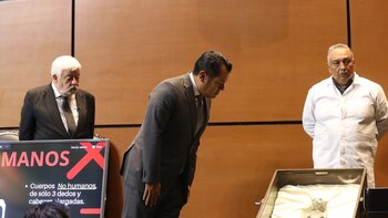 No hay evidencia del "origen alienígena" de los restos presentados en el Congreso mexicano