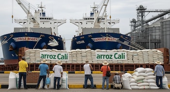 Dos buques de carga azul, "Arroz Mary", descargan sacos de arroz blanco apilados en un muelle venezolano. Varios agricultores observan la operación y silos llenos.