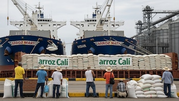 La economía de puertos regresa a Venezuela y deja a los productores de arroz al borde de la quiebra
