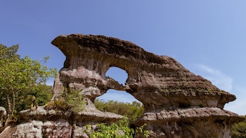 BOGOTÁ, 08 de noviembre de