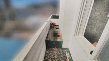 Imagen del lugar dónde encontraron