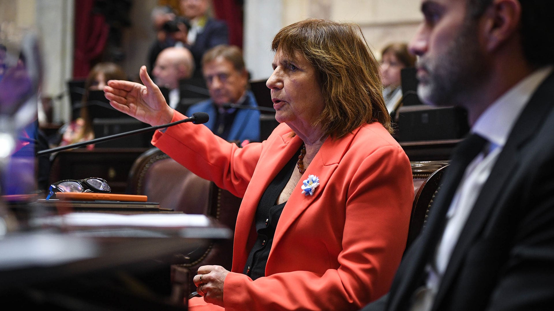 Patricia Bullrich en el Senado (Comunicación Senado)