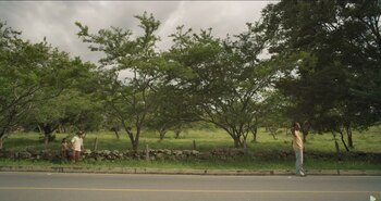 Foto: Captura de pantalla.